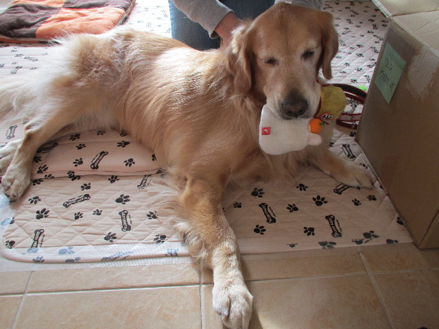 ファイル 2773-3.jpg