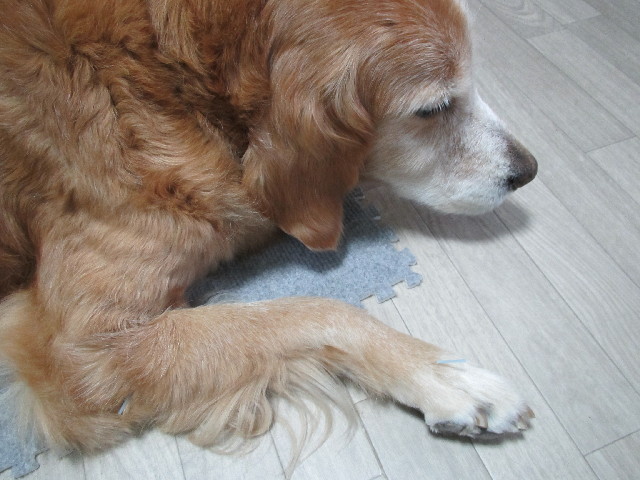 ファイル 2775-3.jpg