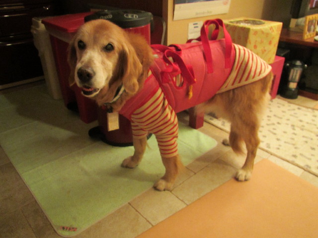 ファイル 2775-5.jpg