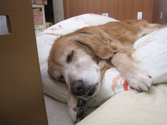 ファイル 2777-3.jpg