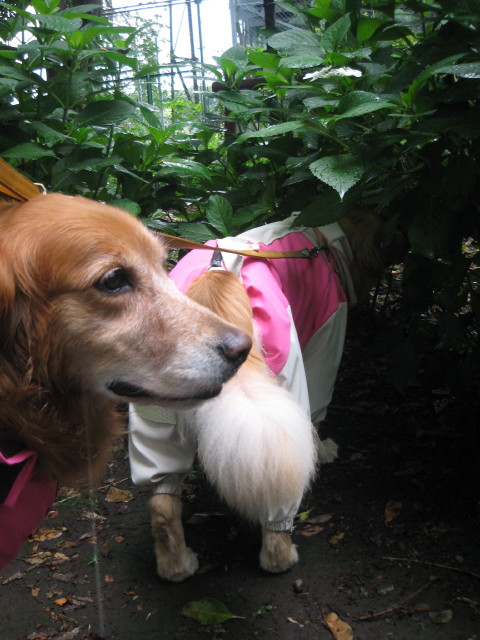 ファイル 278-3.jpg