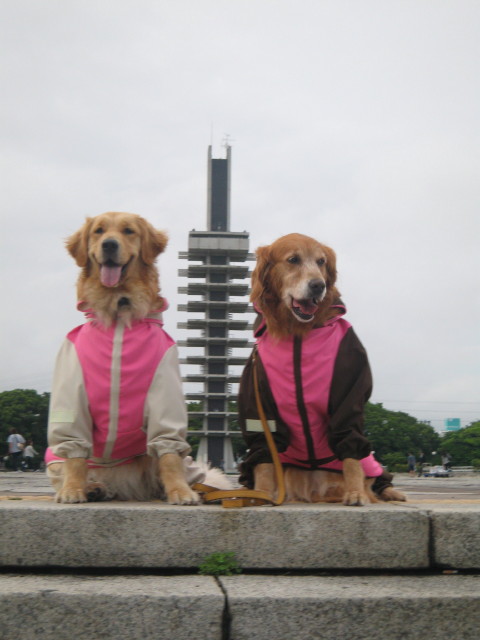 ファイル 278-4.jpg