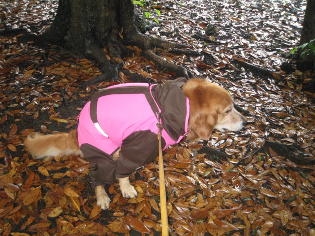 ファイル 278-5.jpg