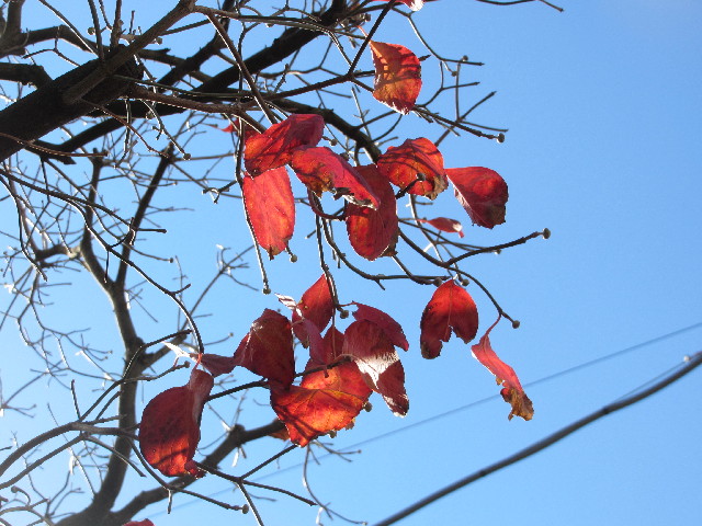 ファイル 2782-4.jpg