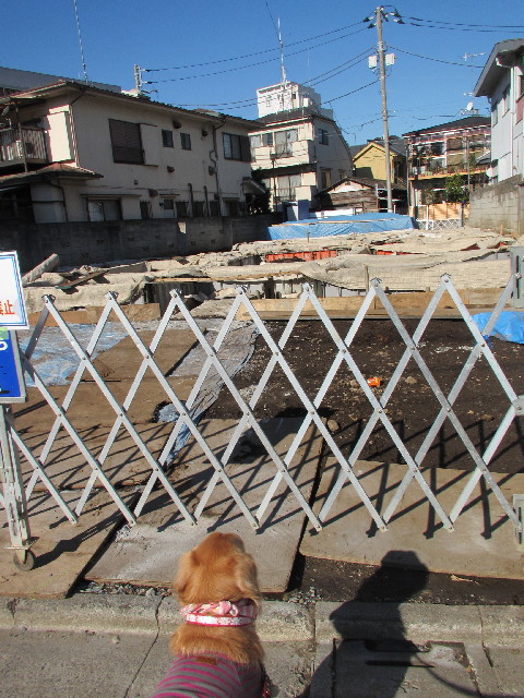 ファイル 2783-1.jpg