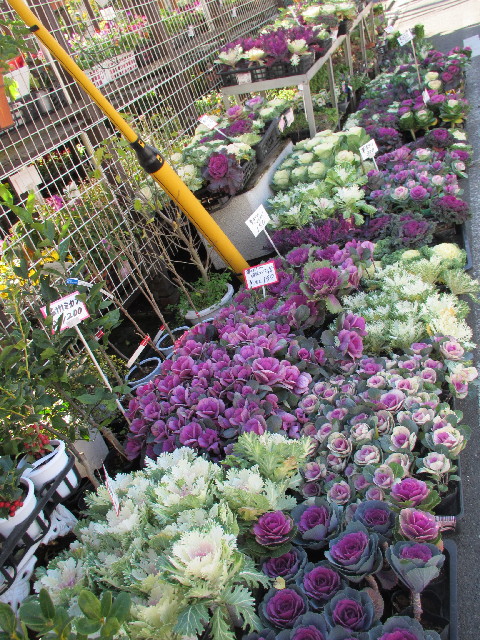 ファイル 2783-3.jpg