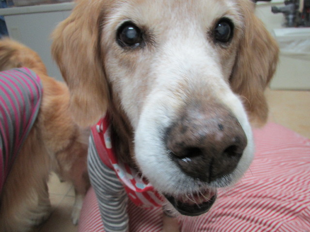 ファイル 2784-3.jpg