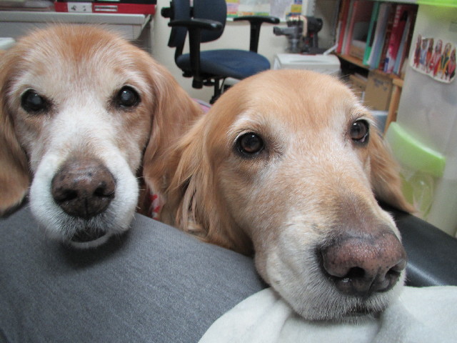 ファイル 2784-5.jpg