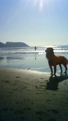 ファイル 2789-4.jpg