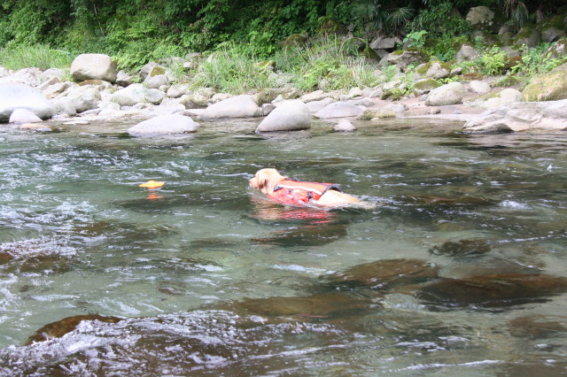 ファイル 279-3.jpg