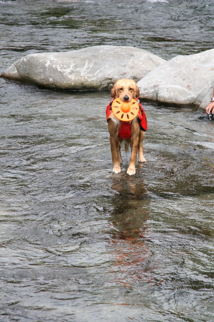 ファイル 279-4.jpg