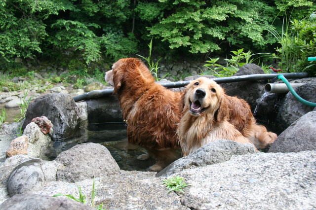 ファイル 279-5.jpg