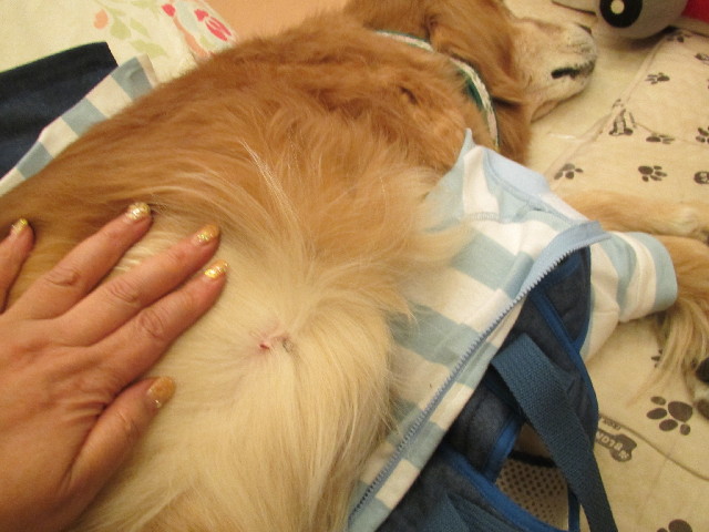 ファイル 2792-3.jpg