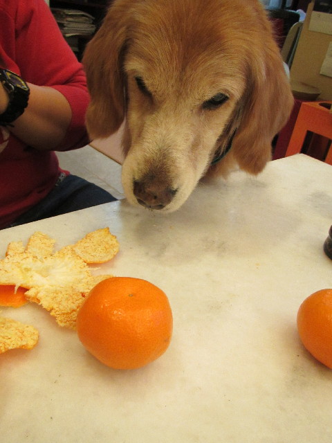 ファイル 2794-3.jpg