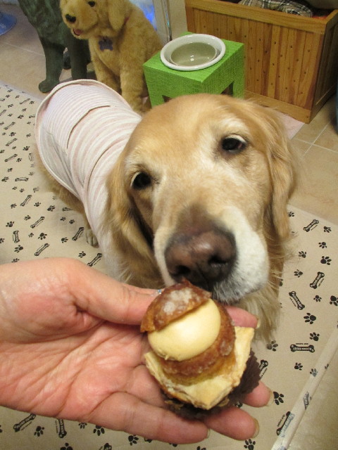 ファイル 2794-4.jpg