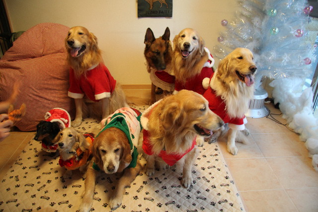 ファイル 2796-3.jpg