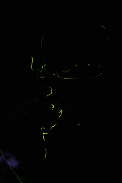 ファイル 280-4.jpg