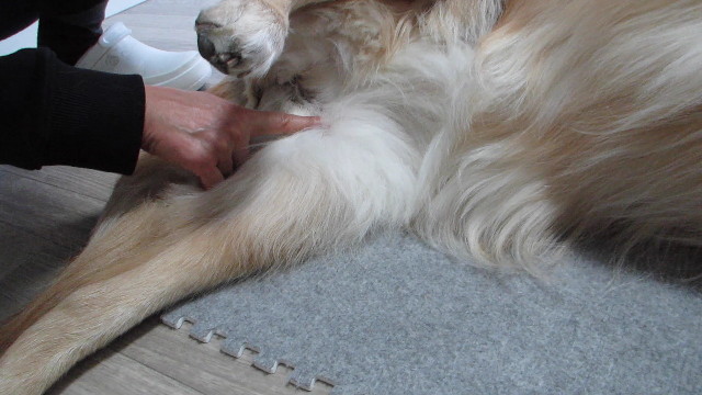 ファイル 2800-1.jpg