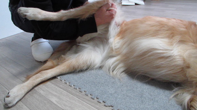 ファイル 2800-3.jpg