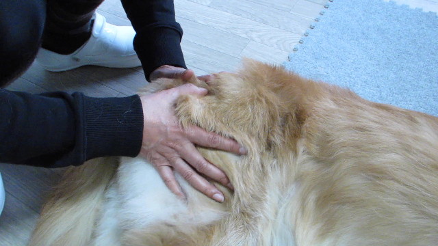 ファイル 2800-4.jpg