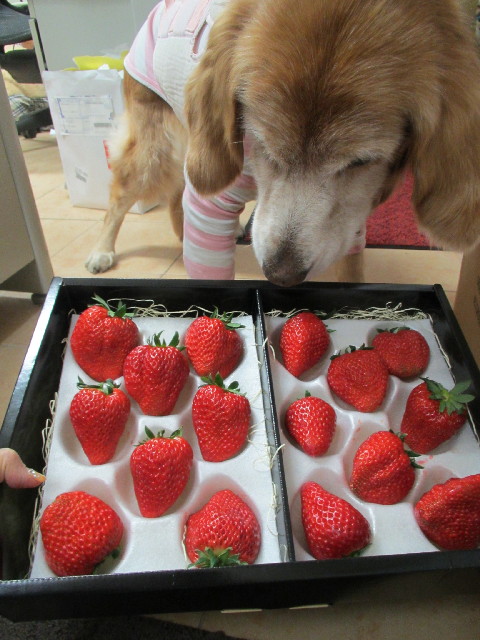 ファイル 2802-2.jpg