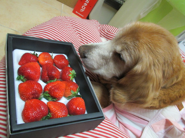 ファイル 2802-3.jpg