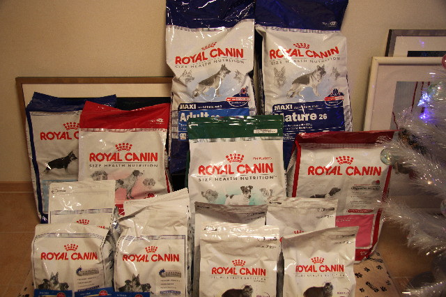 ファイル 2803-3.jpg