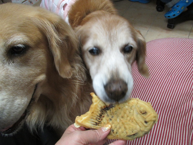 ファイル 2804-4.jpg