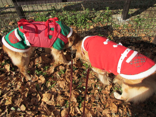 ファイル 2806-2.jpg