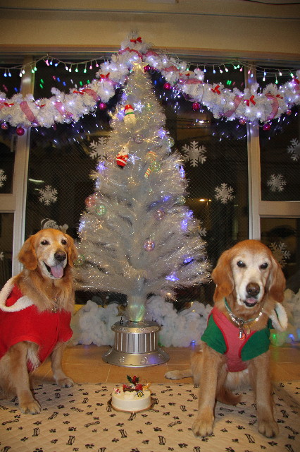 ファイル 2806-5.jpg