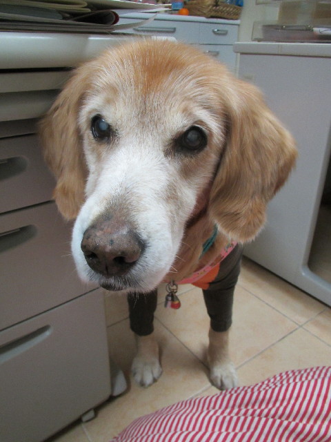 ファイル 2809-3.jpg