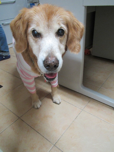 ファイル 2809-4.jpg