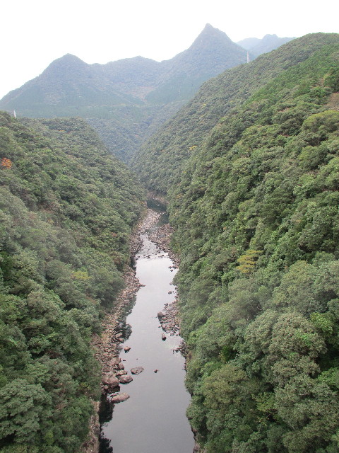 ファイル 2813-2.jpg