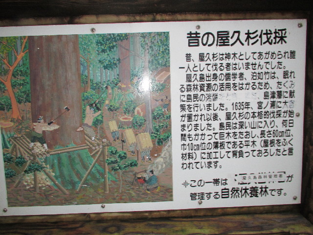 ファイル 2816-1.jpg