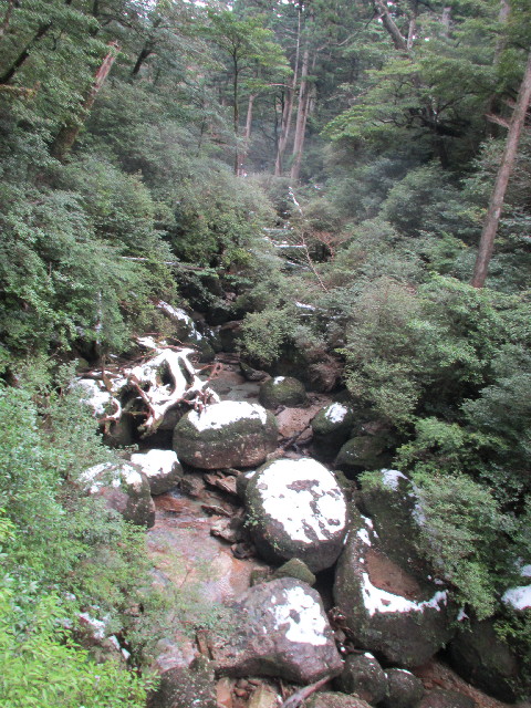 ファイル 2816-5.jpg