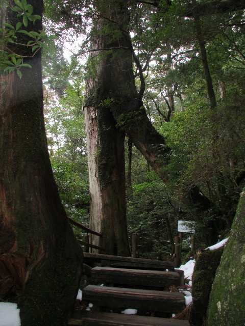 ファイル 2817-3.jpg