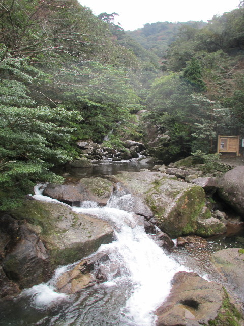 ファイル 2818-1.jpg