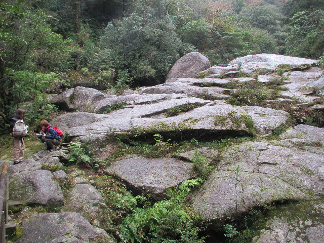 ファイル 2818-4.jpg