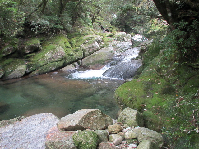 ファイル 2818-5.jpg