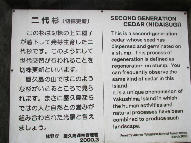 ファイル 2819-2.jpg