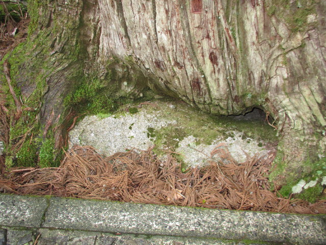 ファイル 2819-3.jpg