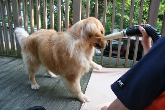 ファイル 282-3.jpg