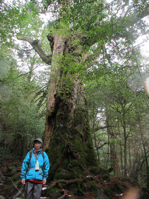 ファイル 2823-2.jpg