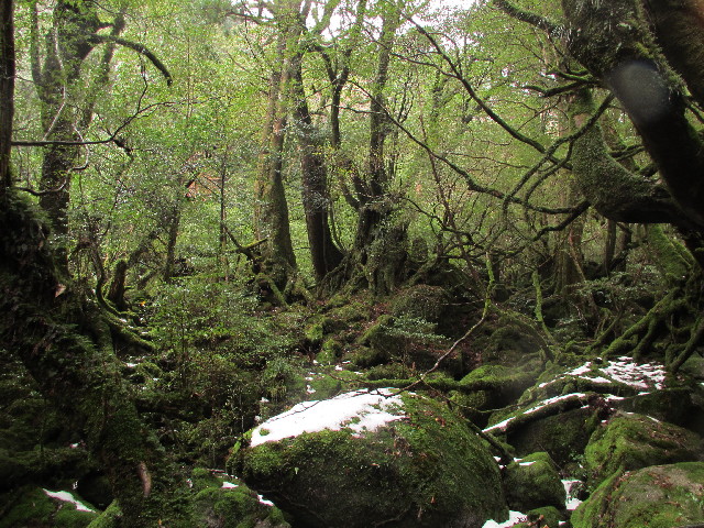 ファイル 2824-2.jpg