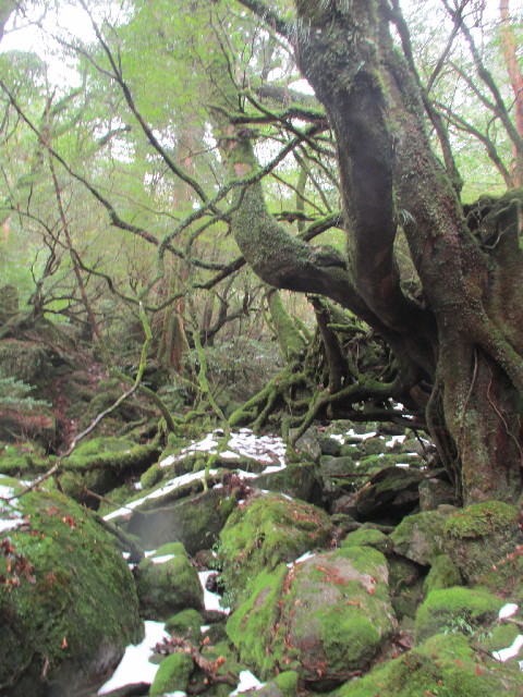 ファイル 2824-3.jpg