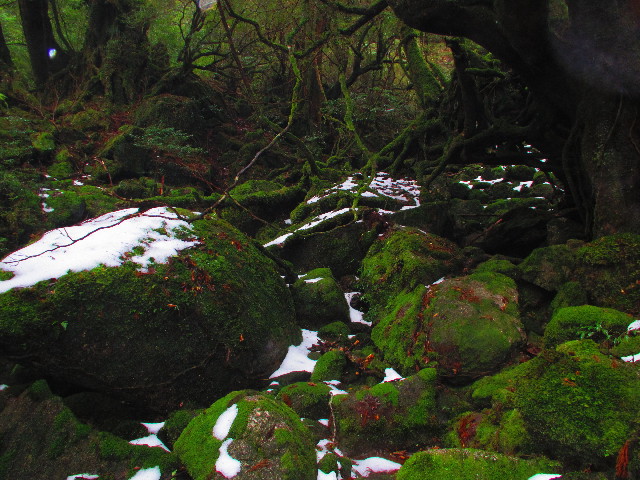 ファイル 2824-4.jpg