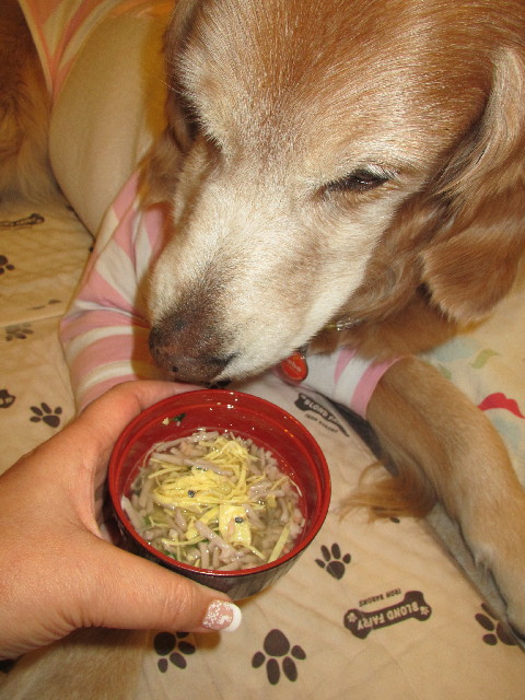 ファイル 2829-1.jpg