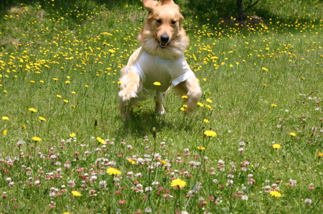 ファイル 283-2.jpg