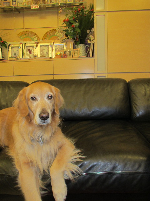 ファイル 2830-4.jpg