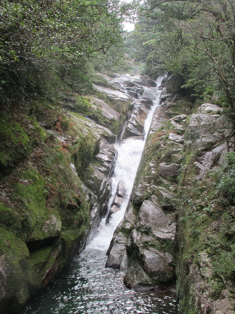 ファイル 2830-5.jpg